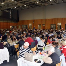 Lotos 2019