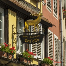 35ème anniversaire du 27-29.05.23