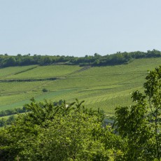 35ème anniversaire du 27-29.05.23