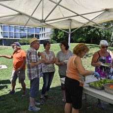 Boules et Cartes 25.06.23