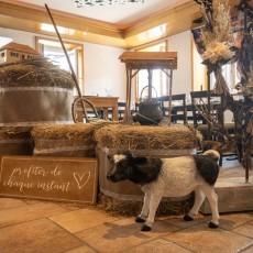La Boule de Billens reçoit le Verney 11.07.26